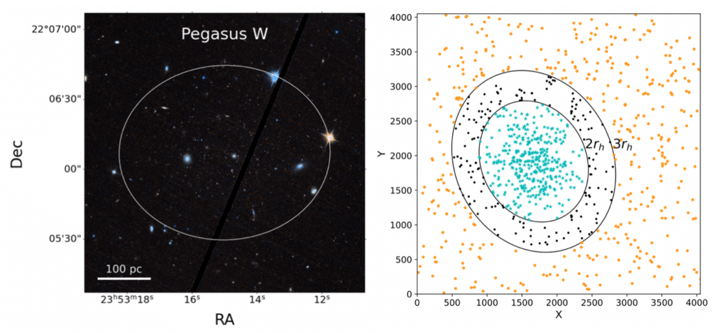 Two panels side-by-side. Left hand panel is an HST view of Pegasus W showing a deep sky image, with stars and galaxies dotted throughout. An elliptical curve outlines the area where Pegasus W is present. The right hand panel shows a graphic indicating how all the stars in the HST image are distributed, which looks like a scatter plot with a denser region in the centre where the galaxy is located. Contours indicate the stellar overdensity.