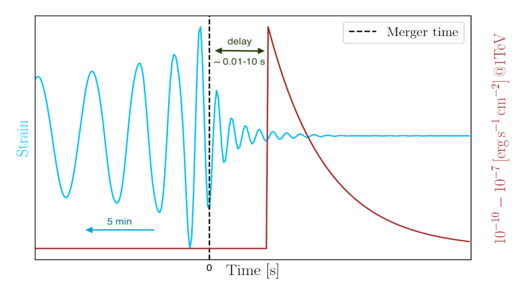 Schematic showing the gravitational wave event and the gamma-ray burst. The gravitational wave signal increases in frequency, until the merge (at time 0) and then a short delay (0.01 to 10 seconds) happens before a sharp peak illustrating the gamma ray burst, which falls off rapidly over time.