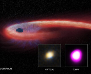Close Encounters of stars with the black hole binaries kind