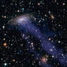 Jellyfish galaxies and where to find them