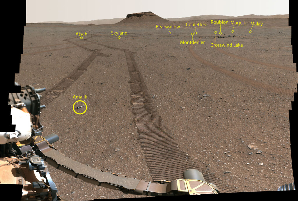 Image showing the samples of Martian material which have already been collected and deployed on the surface by the Perseverance rover.