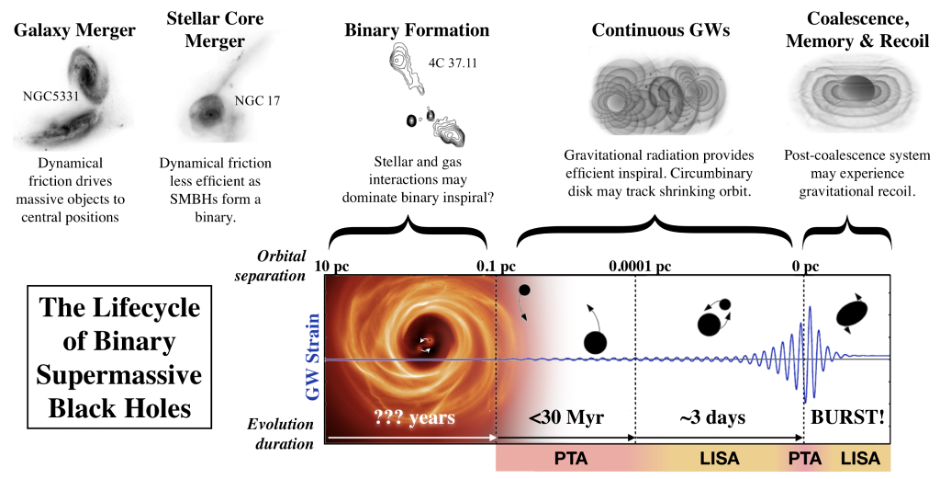 A figure of the lifecycle of an SMBHB, along with a plot showing the gravitational wave strain produced by the binary over the span of its evolution.