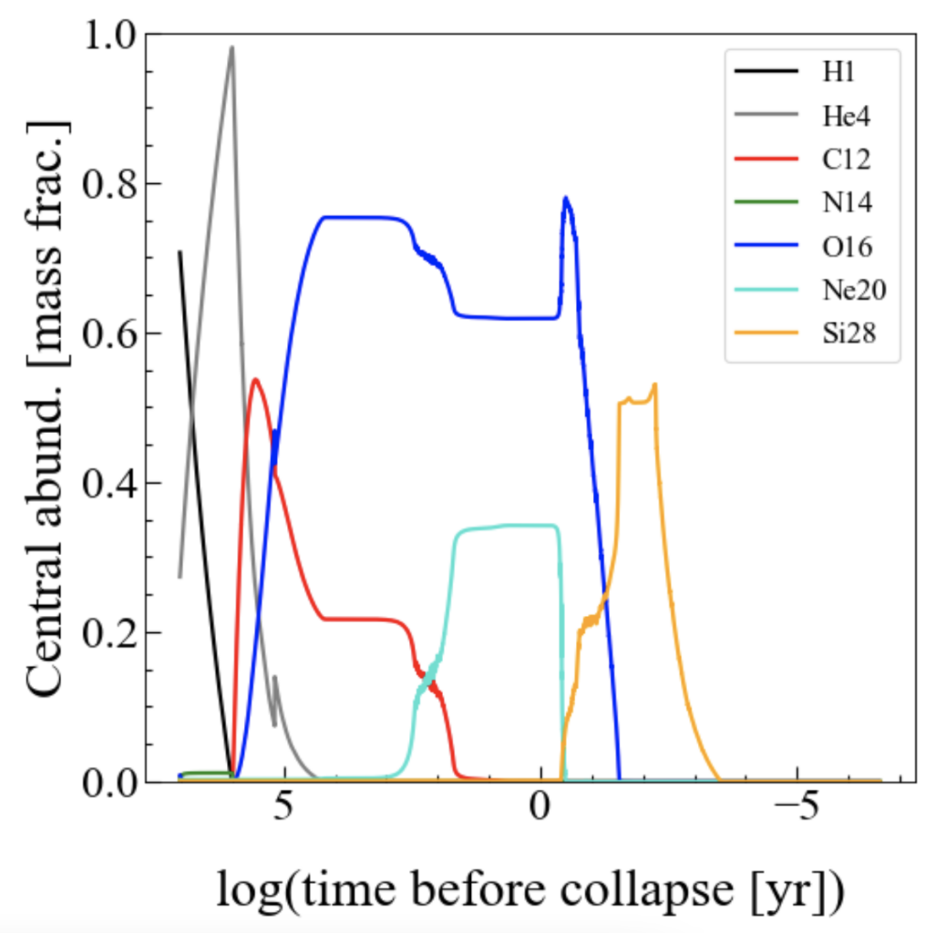 A figure of the expected abundance of different elements in the core of a star as a function of time before core collapse