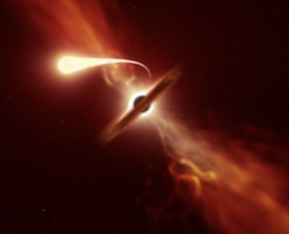 Can you tell if a star got too close to a black hole?