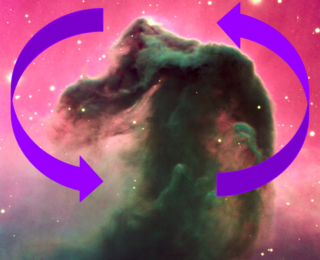 Horse(head)s in the Galactic Ecosystem