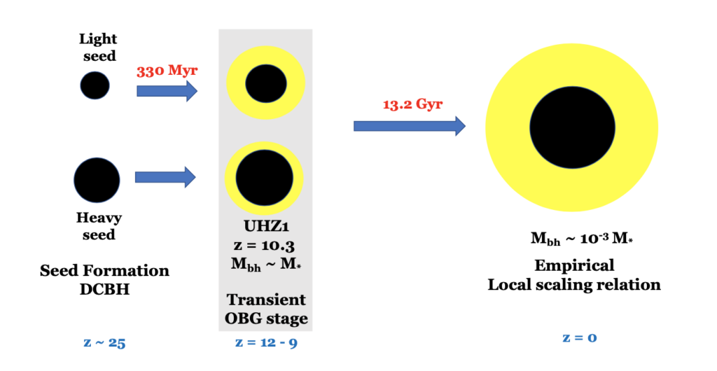 heavy versus light black hole seeds