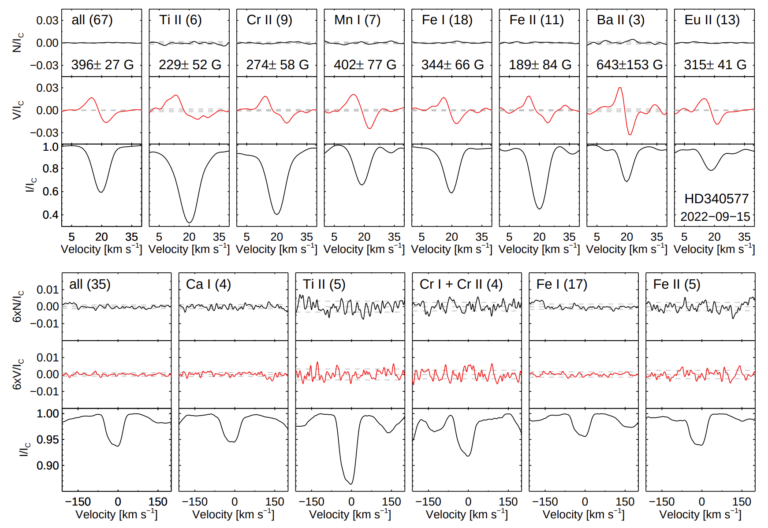 Finger on the Pulse of Magnetic Fields on delta Scuti and gamma Dor ...