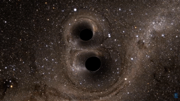 animation from a simulation which shows two black circles (black holes) which distort stars around them and then merge to one black hole