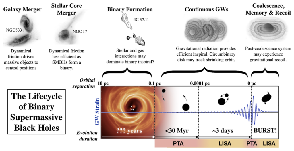 A figure showing the lifecycle of supermassive black hole binaries