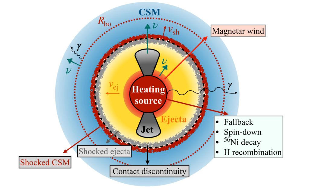 diagram showing a circle representing a central heating source from the collapsing star, surrounded by the ejecta and shocks, and that is surrounded by the CSM. Two cones come off the poles of the central heating source, representing jets.