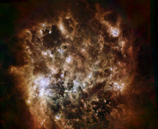 One Last Hurrah: End-of-life Mass Loss in the Large Magellanic Cloud Red Supergiants