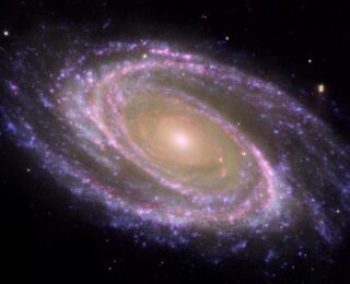 Who’s in the Driver’s Seat? Understanding the factors that drive the chemical evolution of galaxies