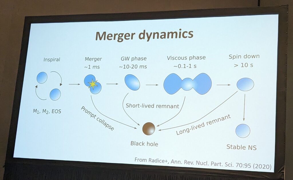 Slide from Dr. Radice's talk, showing the progression of a neutron star merger as the objects merge