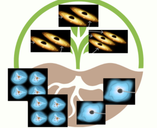 The seeds that formed the garden of massive black holes
