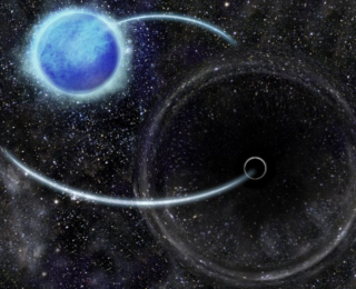 Neutrinos and Natal Kicks in the Inert Black Hole Binary VFTS 243