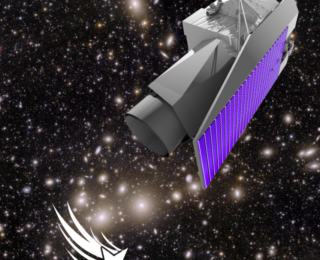 Euclid hunts down stars gone wild