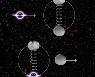 That’s No Moon! The Search for Black Hole Asteroids, Stars, and Planets