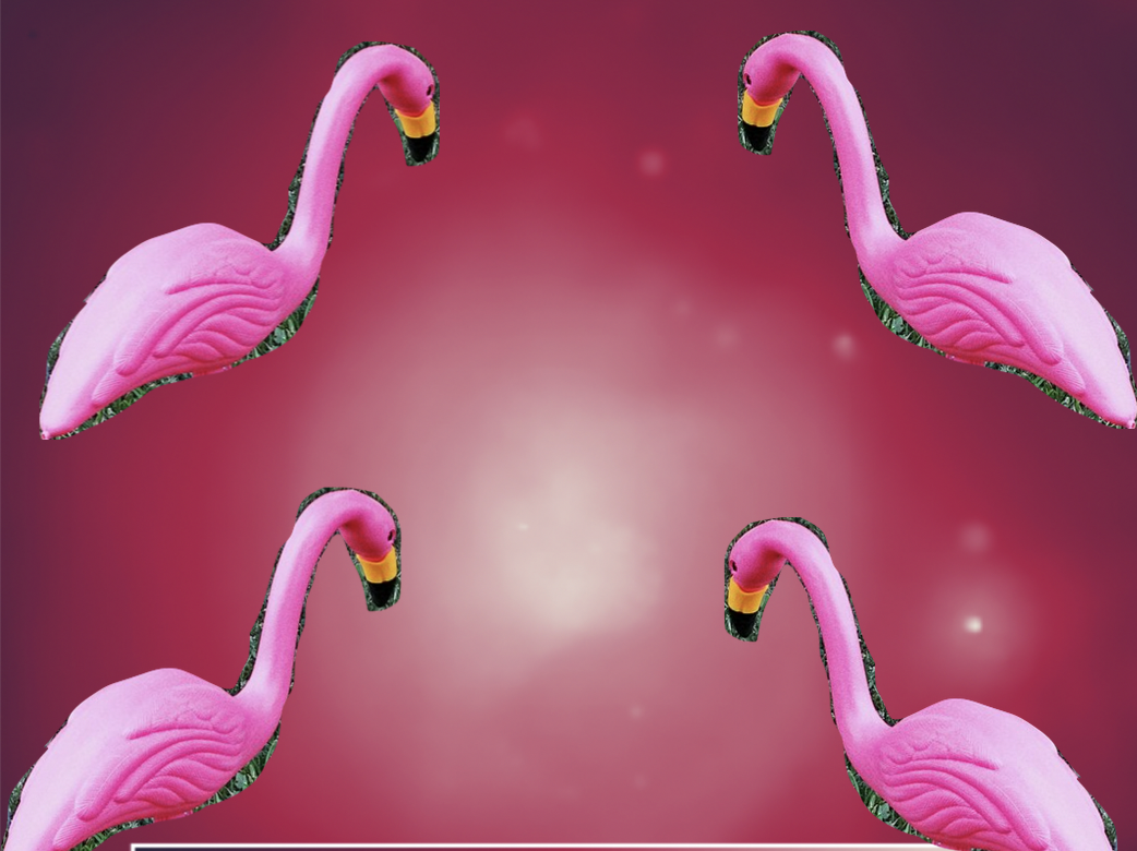 flamingos_cover.png
