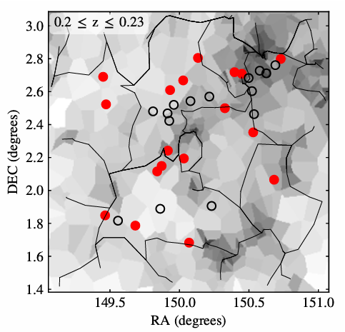 Plot showing the positions of dwarf galaxies in the cosmic web, represented as a graph-like structure with nodes and edges. Regions with darker shading corresponds to regions with more galaxies. Red circles denote dwarf galaxies with AGNs and hollow points represent dwarf galaxies without AGNs. There is no significant difference between the two populations regarding their positions in the cosmic web.