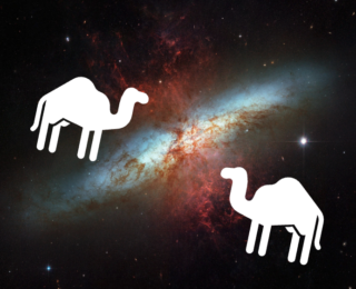 Feeding CAMELS: An Exploration of Galactic Feedback Effects in Simulations