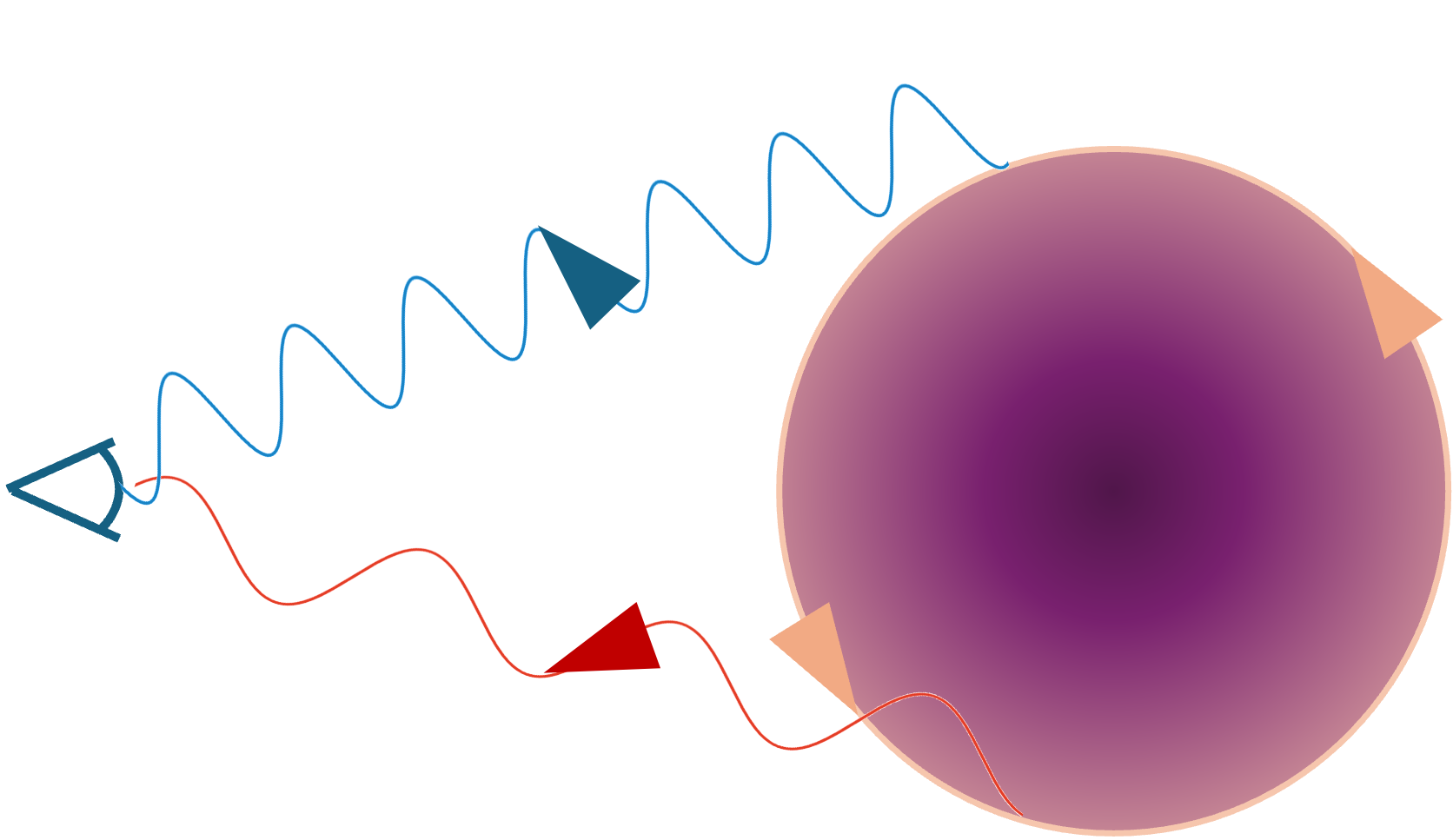 A diagram showing the light coming from a disc on the right-hand side to an observer on the left-hand side. The disc is rotating anticlockwise, and the light coming from the top edge is shown by a blue sine curve with a short period and the light coming from the bottom edge is shown by a red sine curve with a longer period.