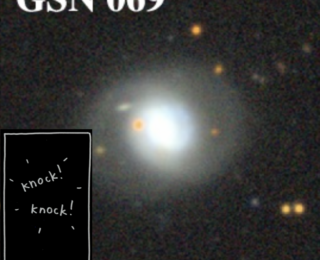 Who’s Home? A Supermassive Black Hole & its Tiny Friends