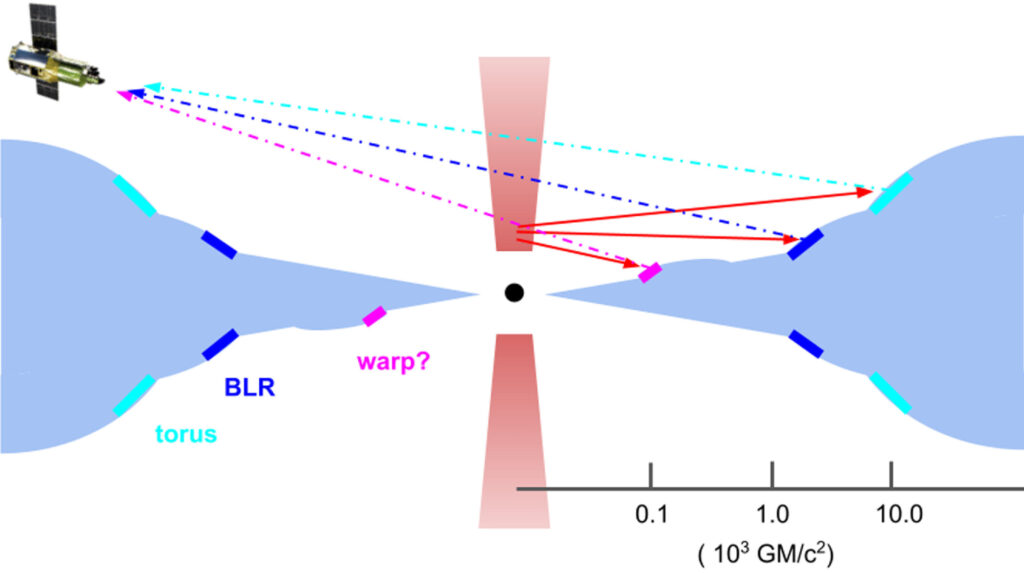 Schematic for the nuclear structure around NGC 4151. The three line components are highlighted at a disk warp, the broad line region, and the torus.
