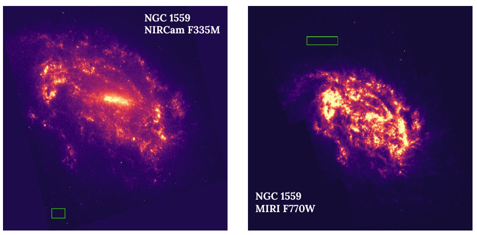 Observations of NGC1559 through two JWST filters. The structures in the left filter arise from star-forming regions and small, ionized polycyclic aromatic hydrocarbons. The structures in the right filter arise from larger neutral polycyclic aromatic hydrocarbons in the interstellar medium. The green boxes indicate the background regions selected for study.