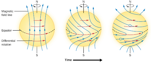 Three diagrams of the Sun's magnetic field lines, which warp around the Sun as it rotates.