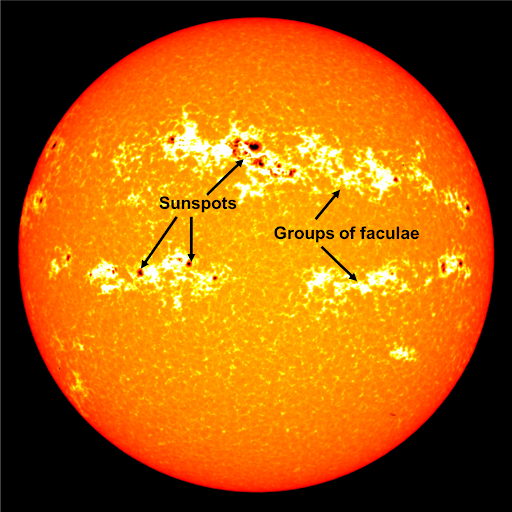 An image of the Sun with black sunspots, and white groups of faculae.