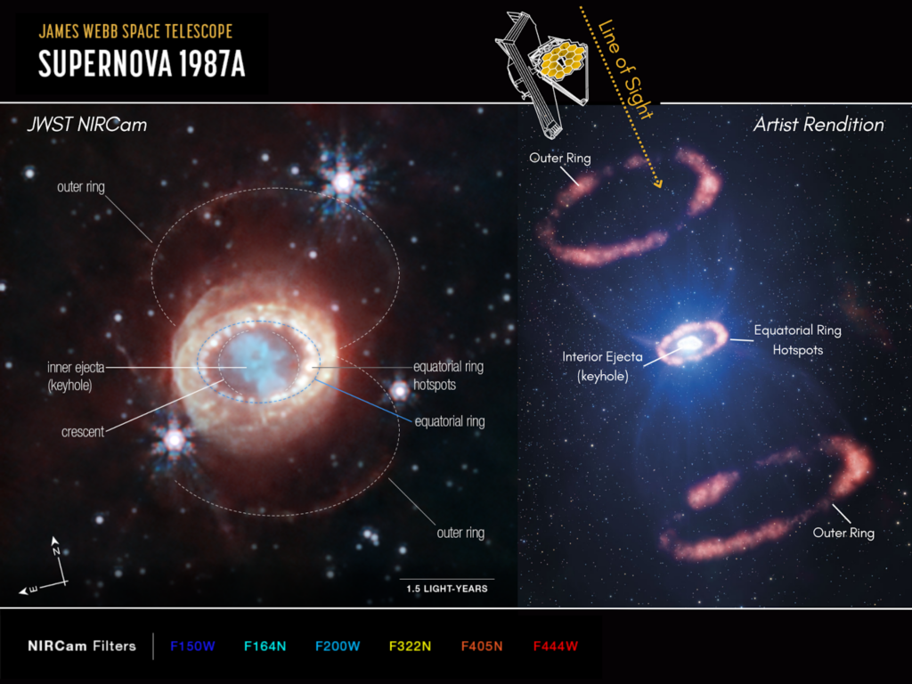 left: image from nircam of the supernova, showing a ring structure around the inner ejecta. right: side view of the supernova with the inner ring surrounding the interior ejecta and two outer rings.