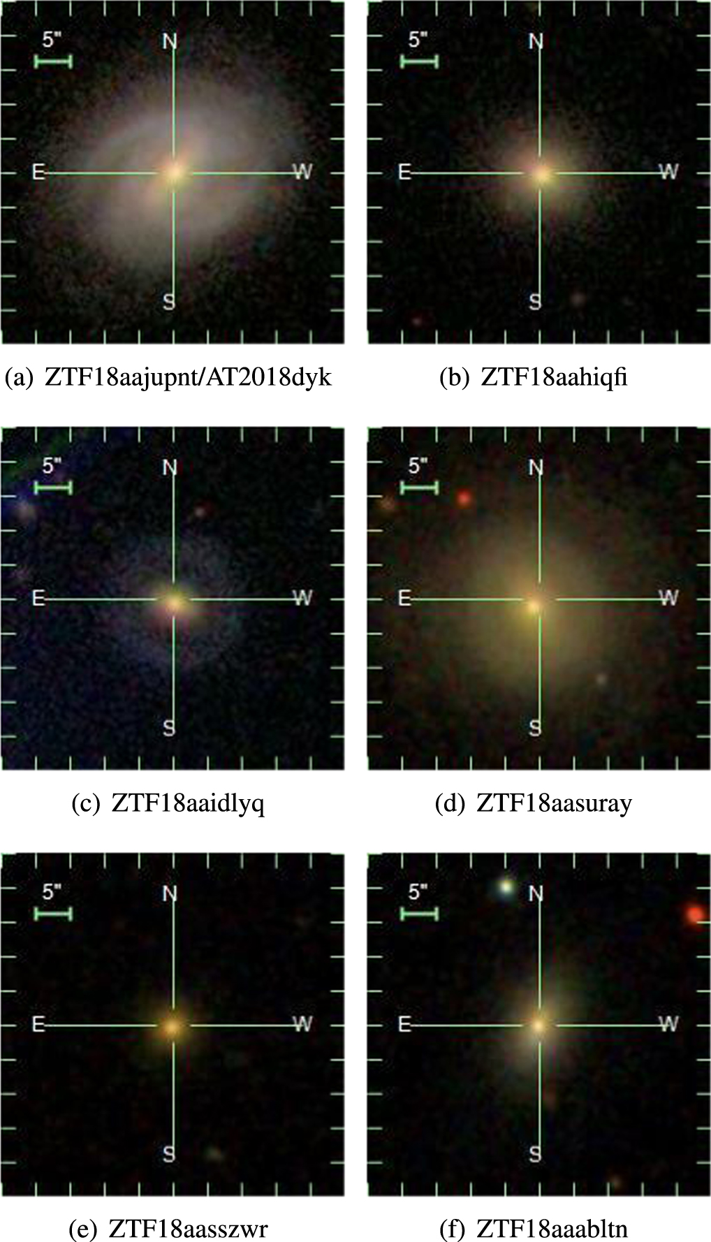 Six Supermassive Black Holes Wake Up from a Long Nap