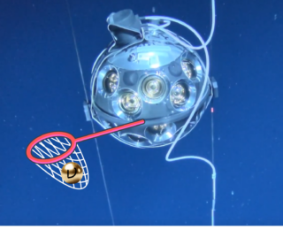 Casting a wide (KM3)NeT for a record-breaking neutrino