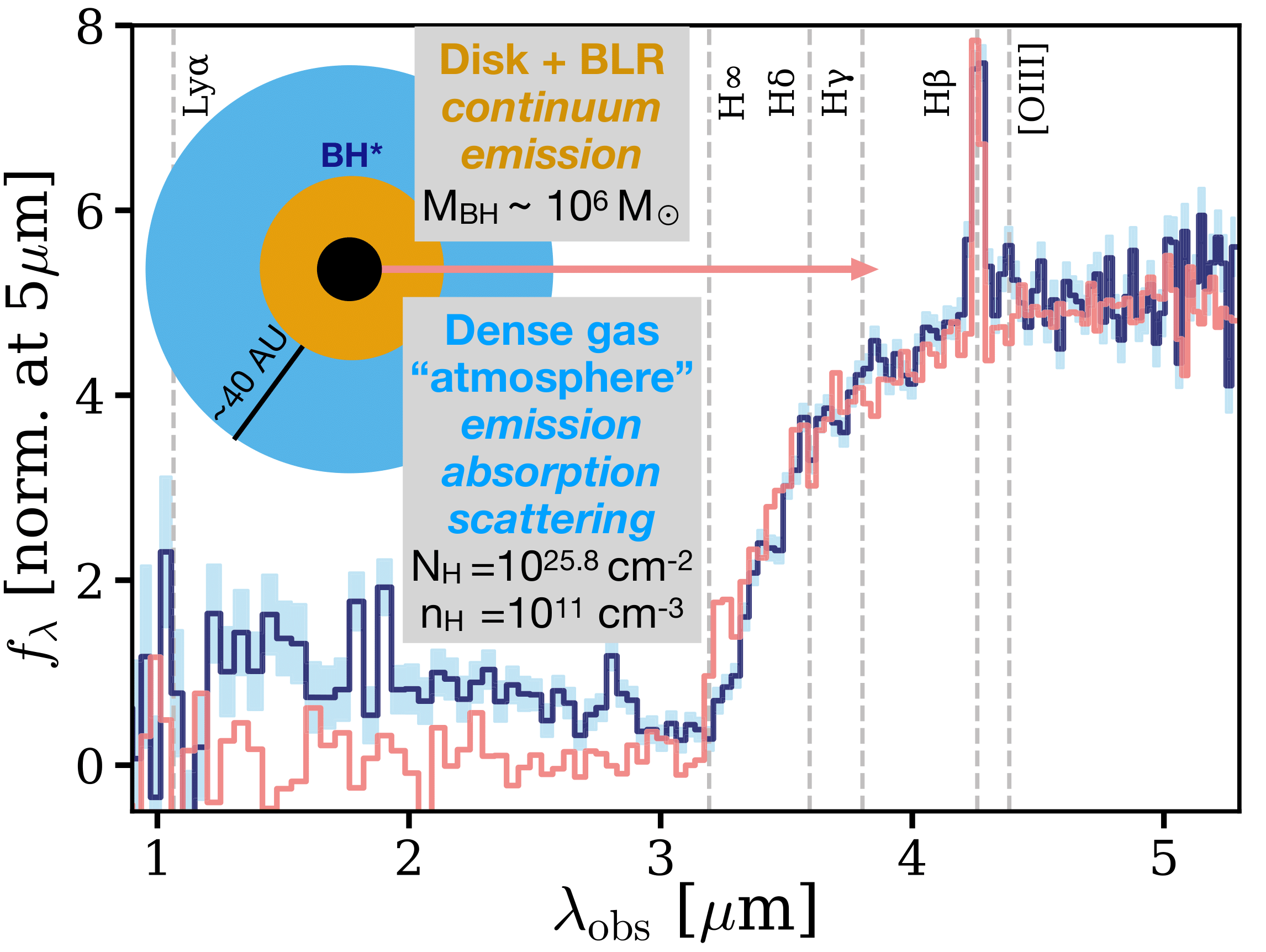 An plot showing the observed spectrum of MoM-BH*-1 and a model generated by the program CLOUDY. The model agrees quite well with the data, but underpredicts the rest-frame UV. A schematic diagram of a black hole shrouded in dense gas is included on the upper left.