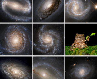 1,339 of These Are Not Like the Others: Uncovering Anomalies in Hubble Imaging