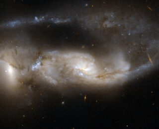 Splish, Splash: Taking a bath in the cool gas of the circumgalactic medium