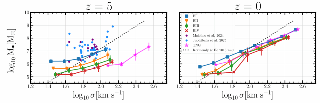 Curves showing the relationship between black hole mass and stellar velocity dispersion at different redshifts for different models of black hole formation. The curves come with a comparison to the expected linear relation for nearby galaxies.