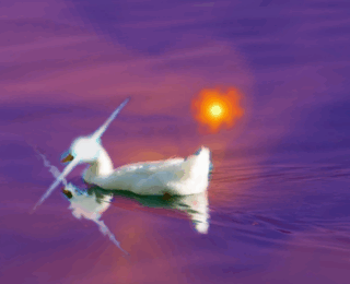 Bumpy road ahead: can binary interactions make supernovae periodically brighter?