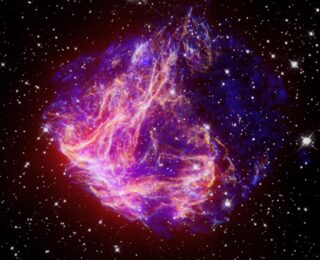 Looking for a single stellar ancestor: Mono-enriched stars in zoom-in simulations