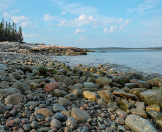 A Week Downeast, Challenging Assumptions about Galaxy Evolution