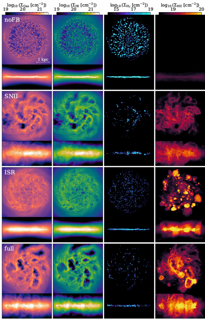 Visualizations of different types of gas in a simulated dwarf galaxy under different types of feedback.