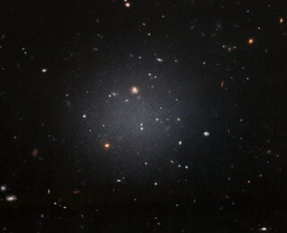 Star Formation in Cosmic SMUDGes