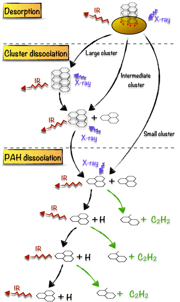 This figure shows the cascade by which PAHs are destroyed, first being removed from the surface of dust grains, second being dissociated from large clusters, and third being broken down by successively losing acetylenes. 