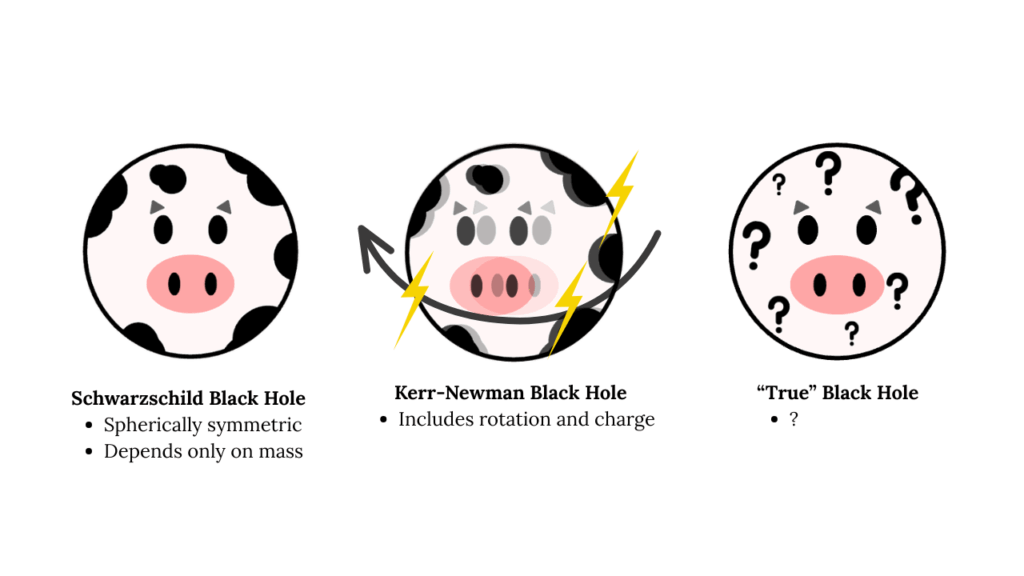 Depiction of different black hole metrics as "spherical cows"