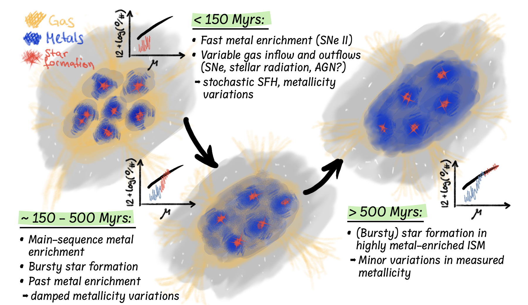 Hand-drawn schematic of a galaxy evolving through three stages, younger than 150 Myr, 150–500 Myr, and older than 500 Myr. Yellow streams mark inflow, blue shows accumulated metals, red marks star-forming regions. Insets indicate position and scatter on the FMR at each stage, with scatter large when young and smaller after past enrichment builds up.