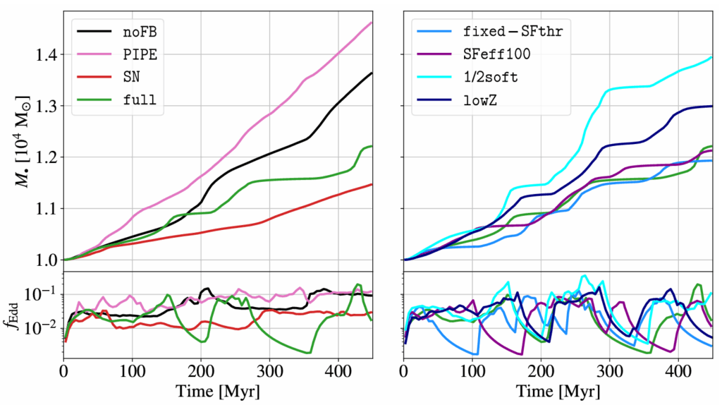 Colored curves showing the mass of the central black hole (top panels) and the mass growth rate (bottom panels) for a dwarf galaxy simulated with different types of stellar feedback and different models of star formation.
