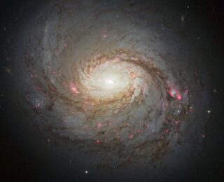 Connections Between X-Ray and Neutrino Emission?