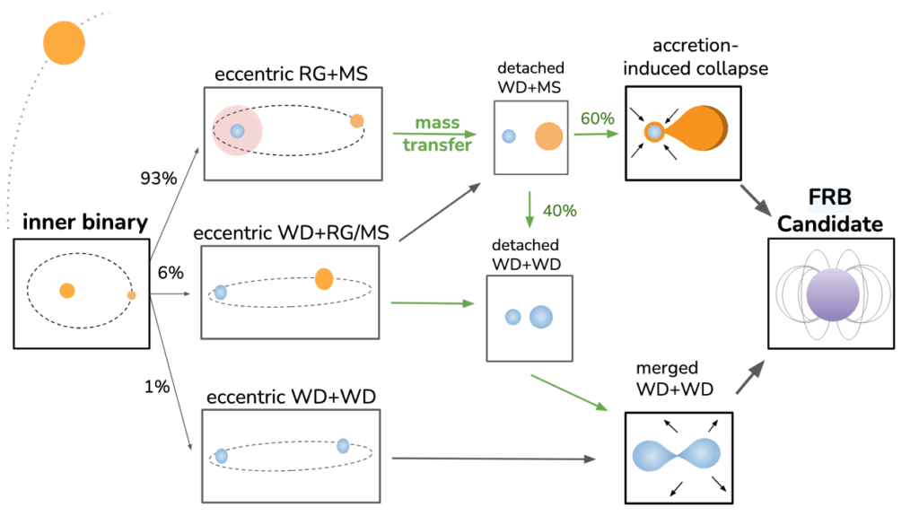 93% of inner binaries in triples become an eccentric red giant (RG) and a main sequence (MS) star that evolve via mass transfer to become 60% in an accretion-induced collapse and 40% become detached, which then inspiral to merge. 6% become eccentric WD+RG/MS systems, which form a detached WD+WD binary and eventually inspiral. 1% start from eccentric WD+WD binaries and eventually inspiral and merge. 