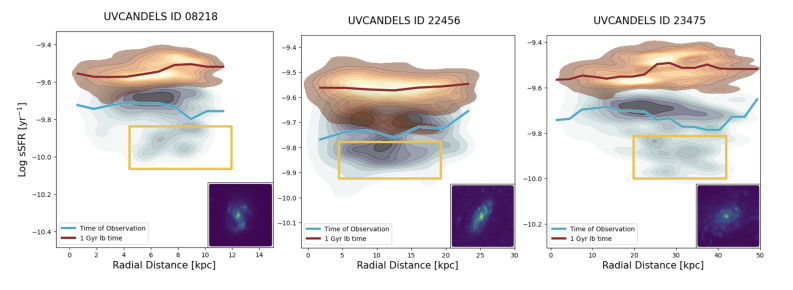 Figure 11 in Olsen et al. (2025)
