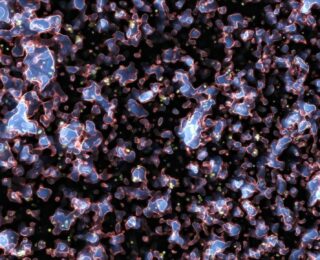 Studying bubbles from the early Universe: an efficient matched filter approach